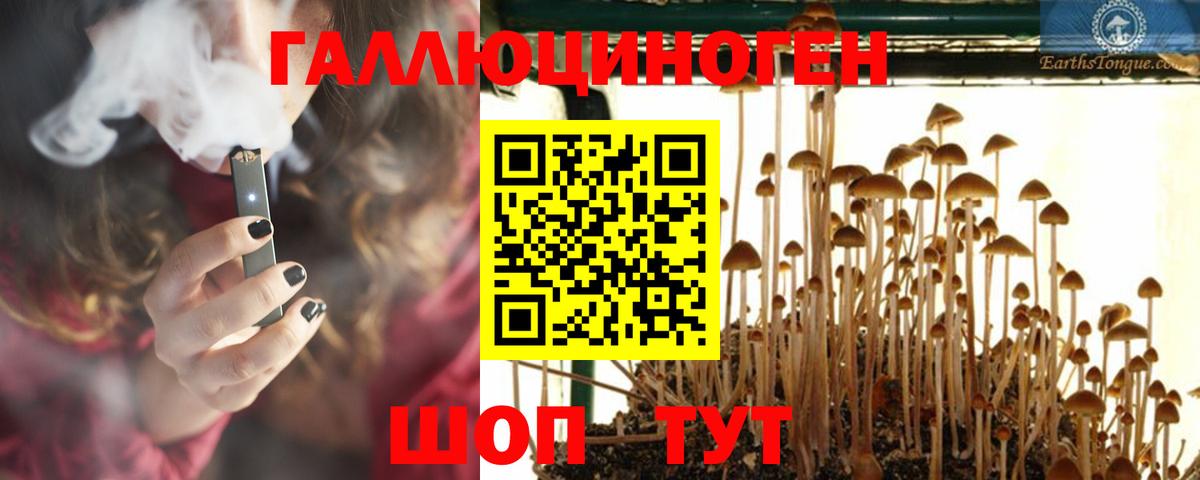 Псилоцибиновые грибы мицелий Феодосия